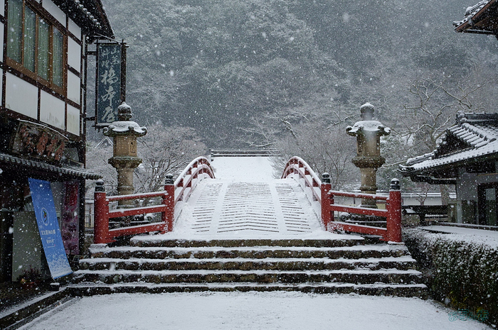 お写ん歩: Sigma 20–200mm F3.5–6.3 DG | Contemporaryアーカイブ